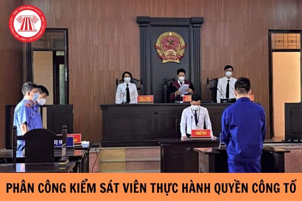 Mẫu quyết định phân công kiểm sát viên thực hành quyền công tố, kiểm sát xét xử phúc thẩm vụ án hình sự mới nhất?