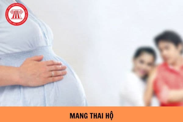 Hồ sơ mang thai hộ vì mục đích nhân đạo có cần giấy cam kết tự nguyện mang thai hộ không?