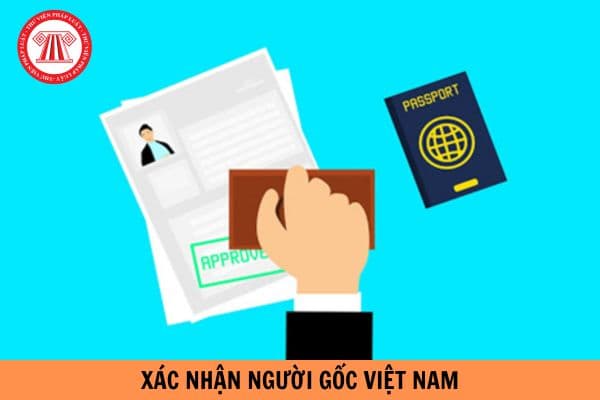 Mẫu tờ khai đề nghị xác nhận là người gốc Việt Nam mới nhất 2024?