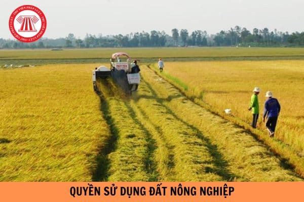 Tổ chức kinh tế nhận chuyển nhượng quyền sử dụng đất nông nghiệp có quyền và nghĩa vụ gì?