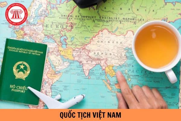 Mẫu tờ khai đề nghị cấp Giấy xác nhận có quốc tịch Việt Nam mới nhất 2024?