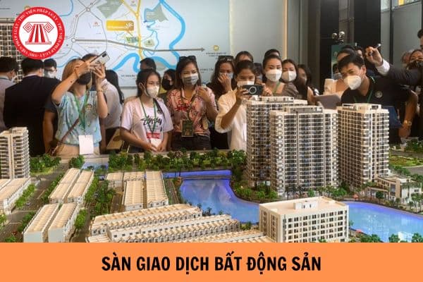 Cá nhân kinh doanh dịch vụ sàn giao dịch bất động sản có phải thành lập doanh nghiệp không?