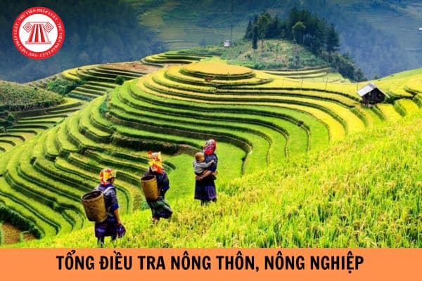 Tổng điều tra nông thôn, nông nghiệp trên phạm vi cả nước vào ngày 1/7/2025?