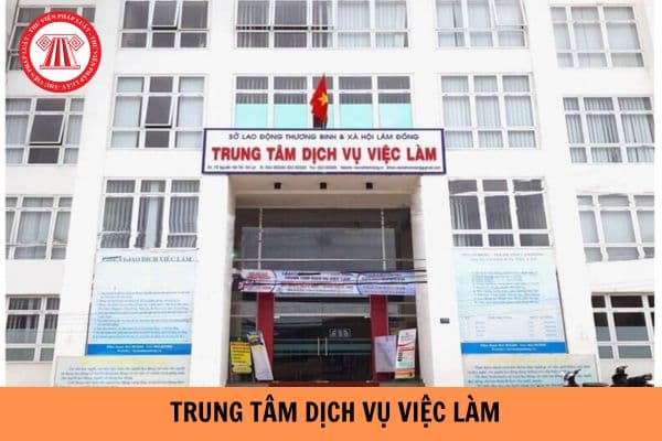 Trung tâm dịch vụ việc làm tư vấn tìm việc cho người lao động có lấy phí không?