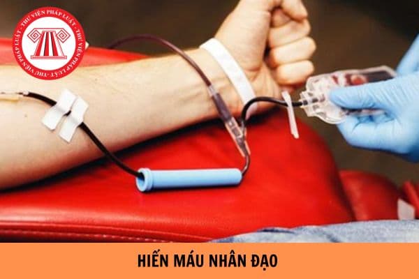 Người hiến máu có những quyền lợi gì? Khi nào người hiến máu phải trì hoãn hiến máu trong thời hạn 12 tháng?