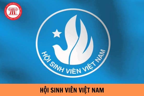 Hội Sinh viên Việt Nam là gì? Hội sinh viên Việt Nam có vai trò và trách nhiệm gì?