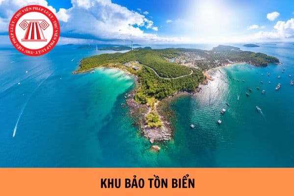 Nghiên cứu khoa học trong khu bảo tồn biển bị phạt bao nhiêu tiền?