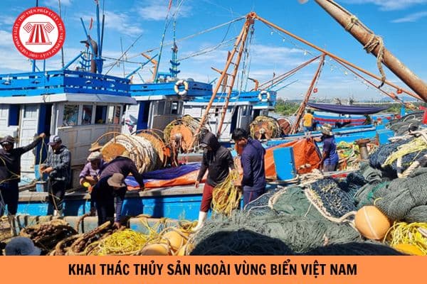 Tổ chức, cá nhân khai thác thủy sản ngoài vùng biển Việt Nam phải đáp ứng điều kiện gì?