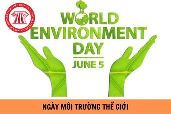 Ngày Môi trường thế giới là ngày mấy? Các hành vi nào bị nghiêm cấm trong hoạt động bảo vệ môi trường?
