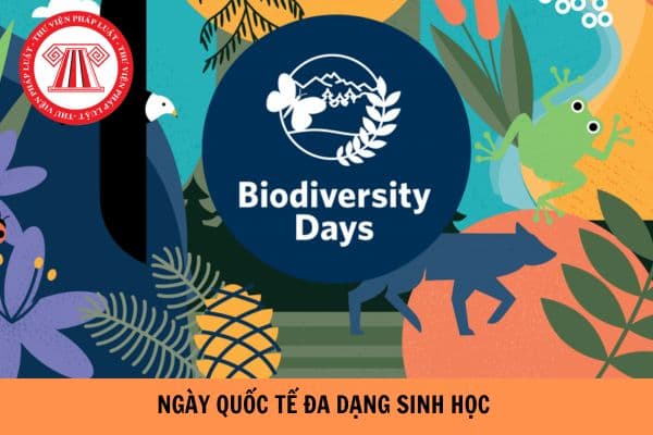 Ngày Quốc tế Đa dạng sinh học là ngày mấy? Nhà nước có chính sách gì cho việc bảo tồn và phát triển đa dạng sinh học?