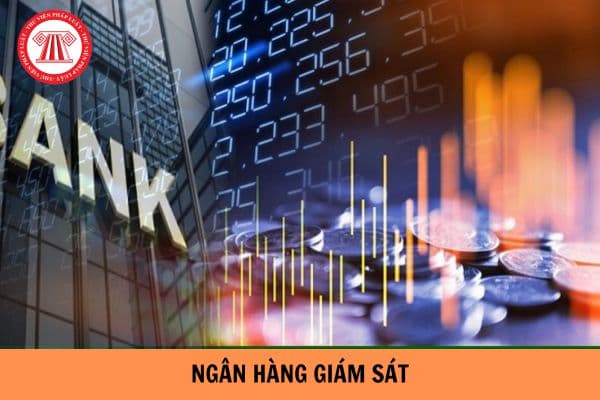 Ngân hàng giám sát là gì? Ngân hàng giám sát có nghĩa vụ gì?