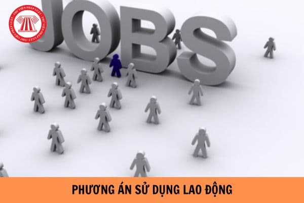 Phương án sử dụng lao động cần có các nội dung gì?