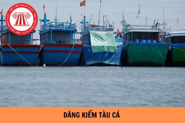 Sửa đổi, bổ sung Thông tư 23/2018/TT- BNNPTNT về đăng kiểm viên tàu cá; công nhận cơ sở đăng kiểm tàu cá?