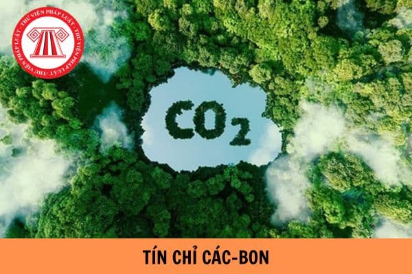 Khẩn trương nghiên cứu thiết lập hệ thống đăng ký quốc gia về tín chỉ các-bon theo Chỉ thị 13?