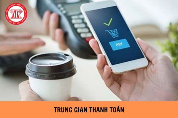 Đề án cung ứng dịch vụ trung gian thanh toán tối thiểu phải có các nội dung gì từ 01/7/2024?