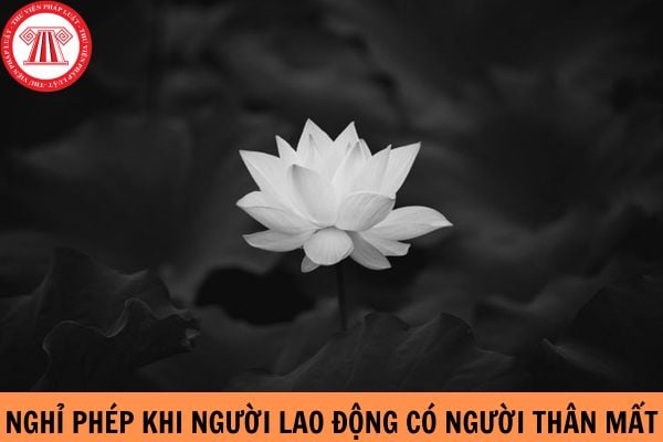 Quy định nghỉ phép khi người lao động có người thân mất mới nhất 2024? Có được tính lương không? Cần giấy tờ gì?