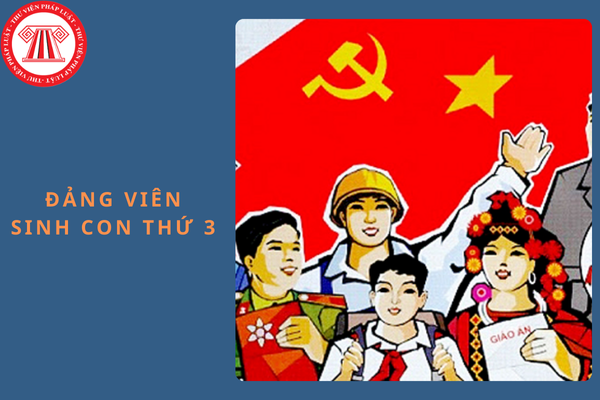 Mẫu đơn giải trình Đảng viên sinh con thứ 3 mới nhất năm 2024?