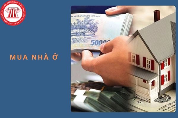 Người Việt Nam định cư ở nước ngoài có được mua nhà ở của doanh nghiệp kinh doanh bất động sản không? 