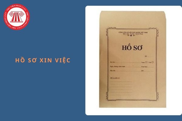 Hướng dẫn cách viết CV, hồ sơ xin việc mới nhất năm 2025? Trọn bộ hồ sơ xin việc mới nhất năm 2025?