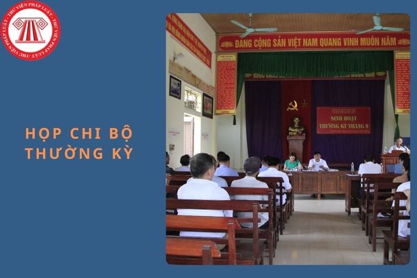 Hỏi đáp Pháp luật