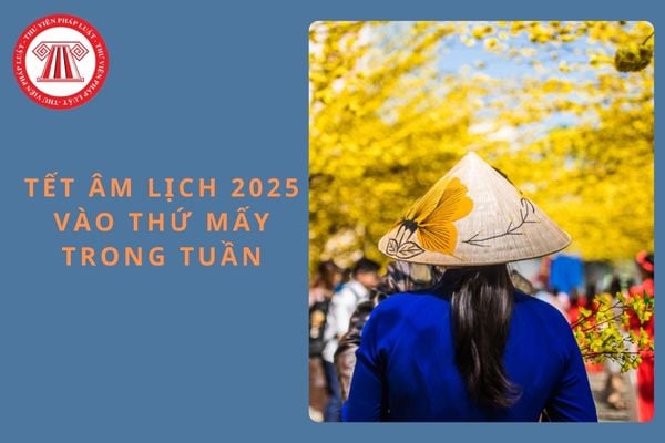 Tết âm lịch 2025 vào thứ mấy trong tuần? Còn bao nhiêu ngày đến Tết âm lịch 2025?