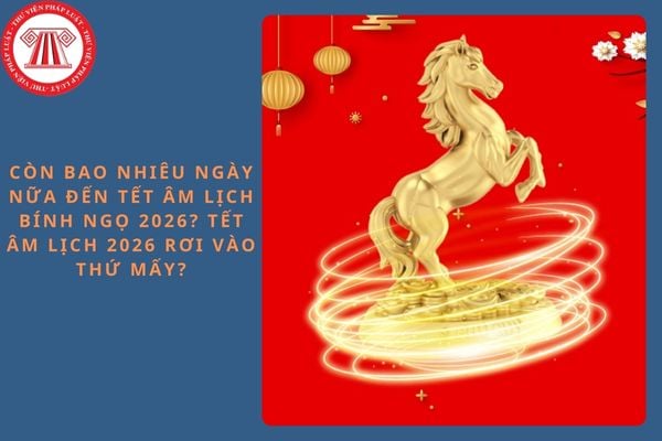 Còn bao nhiêu ngày nữa đến Tết Âm lịch Bính Ngọ 2026? Tết Âm lịch 2026 rơi vào thứ mấy?