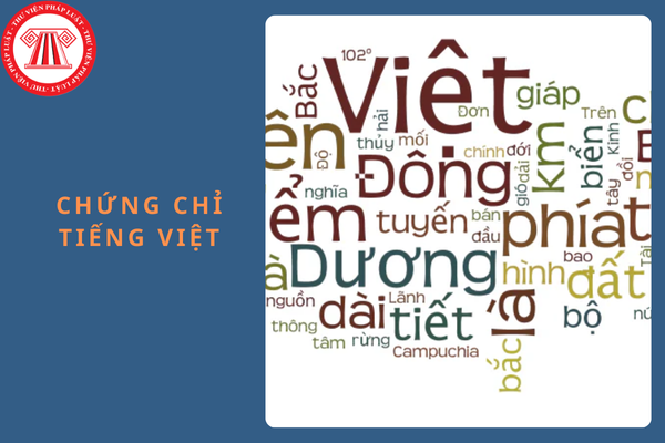 Thí sinh là người nước ngoài được sử dụng chứng chỉ tiếng Việt để miễn thi môn Ngữ văn trong tốt nghiệp THPT 2025?