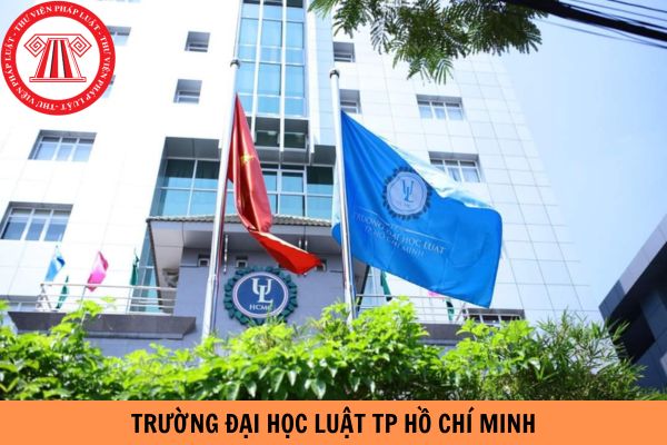 Tổ hợp môn xét tuyển từng ngành của trường Đại học Luật thành phố Hồ Chí Minh năm 2024 chi tiết nhất?