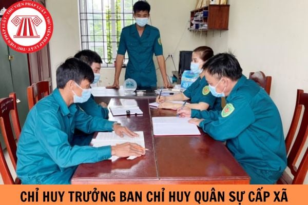 Chỉ huy trưởng Ban Chỉ huy quân sự cấp xã có tiêu chuẩn như thế nào? Mức phụ cấp bao nhiêu?