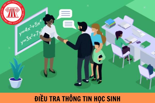 Mẫu phiếu điều tra thông tin học sinh dành cho mọi cấp mới nhất năm 2024?