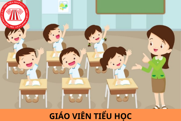 Mẫu kế hoạch cá nhân áp dụng đối với giáo viên tiểu học năm 2024?