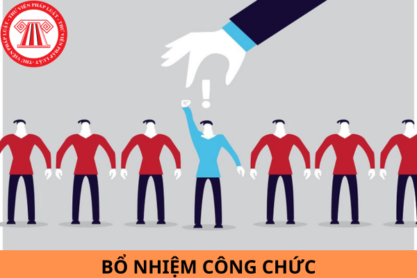 Mẫu Quyết định bổ nhiệm công chức mới nhất năm 2024?