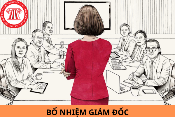 Mẫu quyết định bổ nhiệm giám đốc dành cho mọi loại hình doanh nghiệp mới nhất năm 2024?