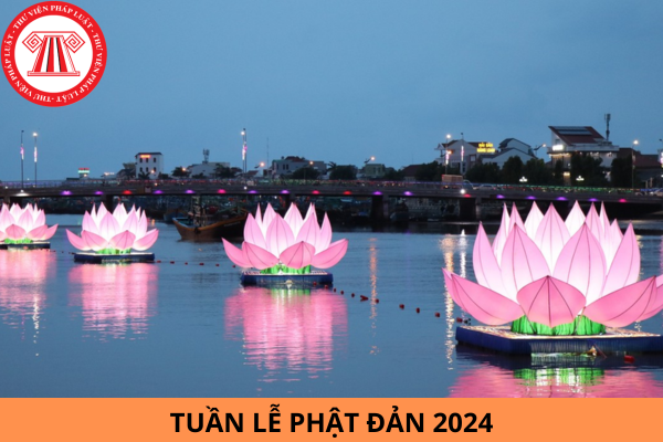 Tuần lễ Phật Đản 2024 được diễn ra khi nào? Người nước ngoài cư trú tại Việt Nam có được tham gia tuần lễ Phật đản không?