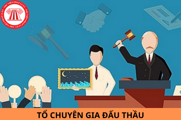 Điều kiện năng lực, kinh nghiệm đối với tổ chuyên gia đấu thầu là gì? Tổ chuyên gia trong đấu thầu thực hiện các công việc gì?