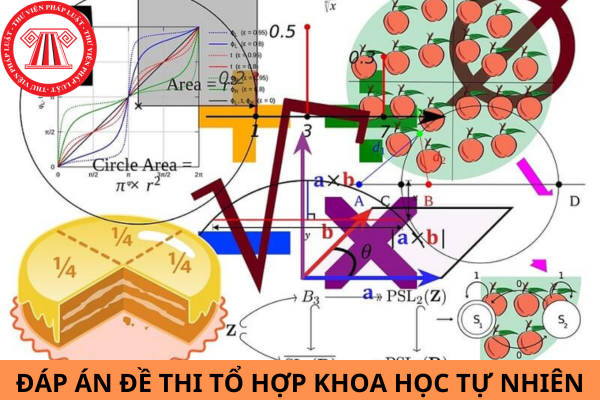 Tổng hợp đáp án đề thi tổ hợp Khoa học tự nhiên thi tốt nghiệp THPT năm 2024 chi tiết nhất?