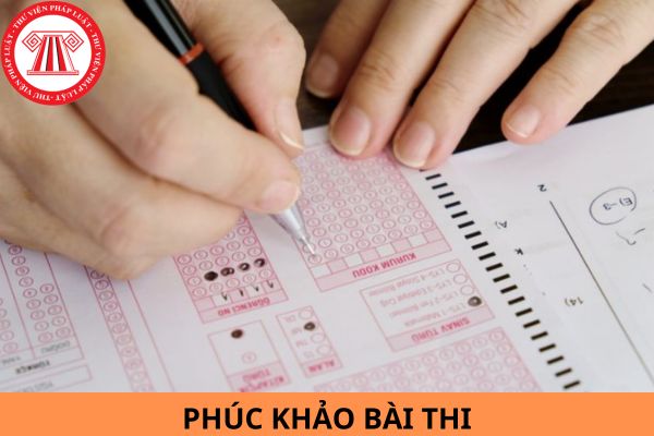 Hướng dẫn nộp đơn phúc khảo bài thi tuyển sinh lớp 10 tại TP Hà Nội?
