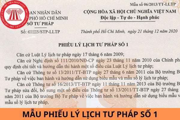 Mẫu Phiếu lý lịch tư pháp số 1 từ ngày 01/7/2024 và hướng dẫn cách ghi mới nhất?