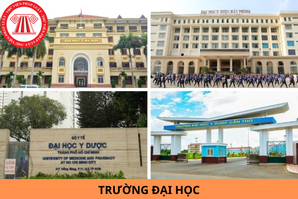 Tổng hợp các trường Đại học trong Khối D năm 2024?