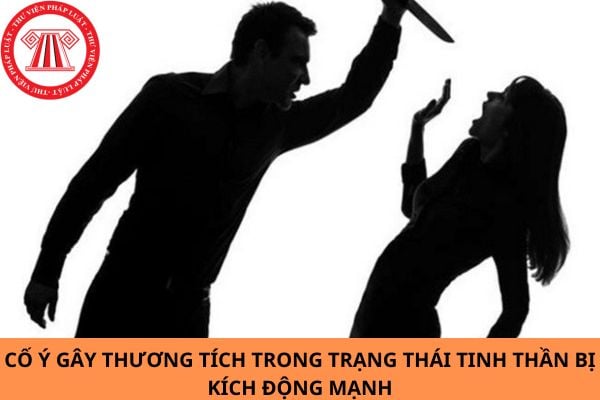 Cố ý gây thương tích trong trạng thái tinh thần bị kích động mạnh có bị truy cứu trách nhiệm hình sự không? Các yếu tố nào cấu thành tội phạm?