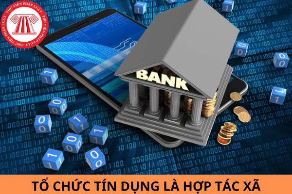 Mẫu văn bản đề nghị chấp thuận thay đổi nội dung hoạt động của tổ chức tín dụng là hợp tác xã mới nhất năm 2024?