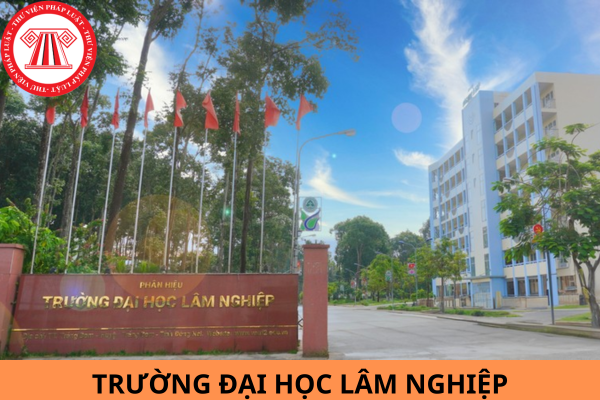 Điểm chuẩn xét tuyển sớm năm 2024 trường Đại học Lâm nghiệp?