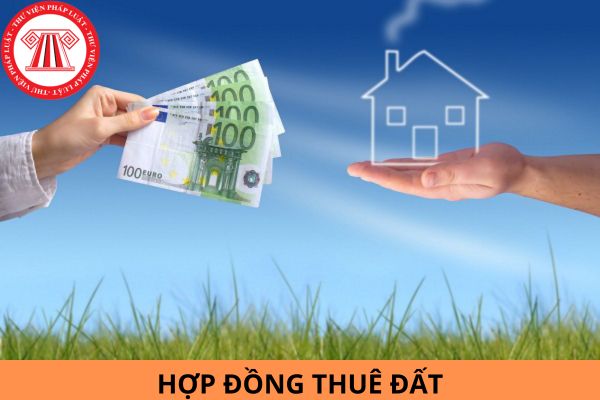 Mẫu hợp đồng thuê đất theo Nghị định 102 mới nhất năm 2024?