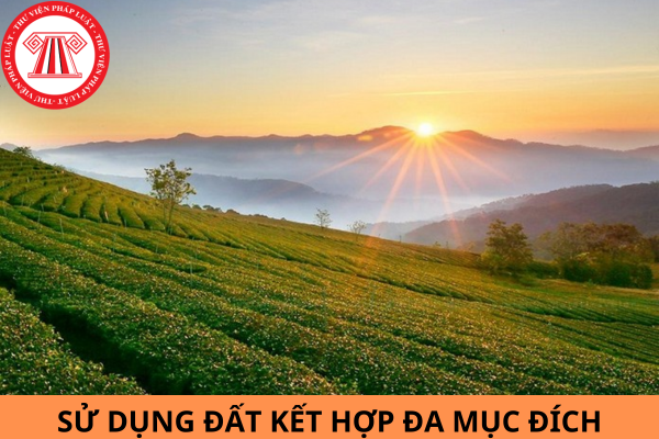 Mẫu đơn đề nghị sử dụng đất kết hợp đa mục đích mới nhất năm 2024?