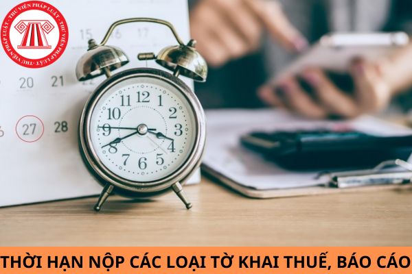 Thời hạn nộp các loại tờ khai thuế, báo cáo trong tháng 8/2024 chi tiết nhất?