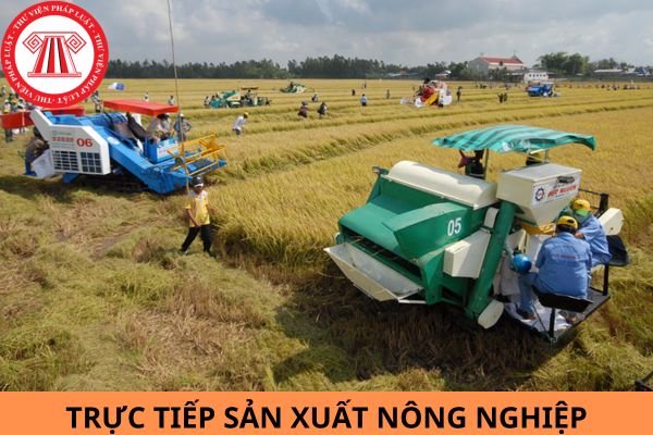 Từ ngày 01/8/2024, những cá nhân nào không được trực tiếp sản xuất nông nghiệp?