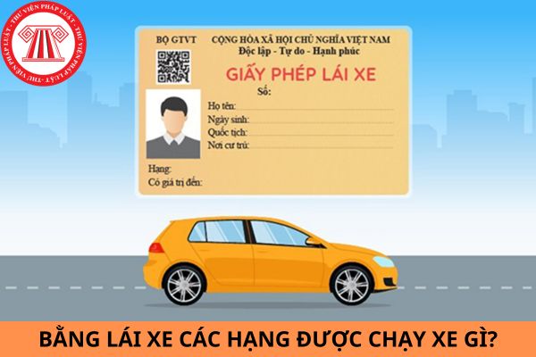 Bằng lái xe các hạng từ ngày 01/01/2025 được chạy xe gì? Độ tuổi của người lái xe, người điều khiển xe máy chuyên dùng là bao nhiêu?