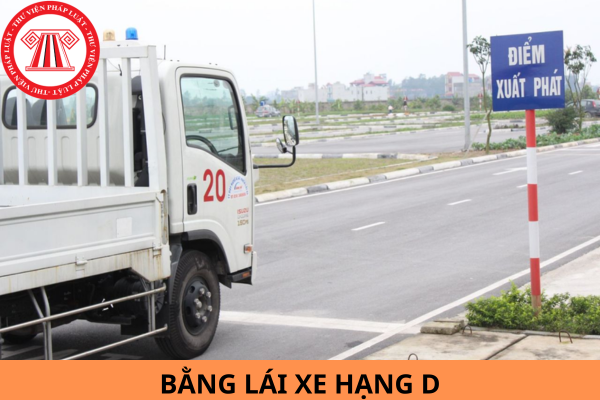 Từ ngày 01/01/2025, bằng lái xe hạng D lái được xe gì? Thời hạn bao lâu?