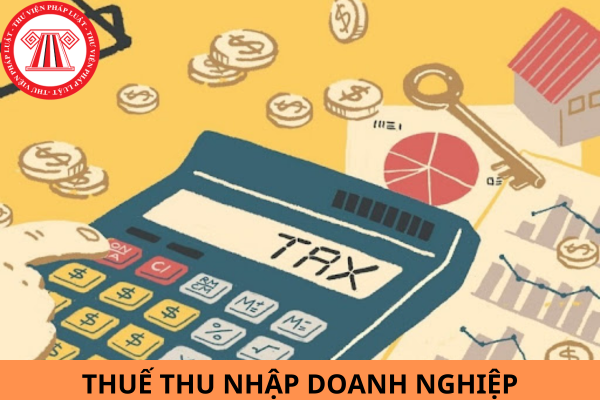 Mẫu 03/TNDN-DK tờ khai thuế thu nhập doanh nghiệp áp dụng đối với thu nhập từ chuyển nhượng quyền lợi tham gia hợp đồng dầu khí theo Thông tư 80?