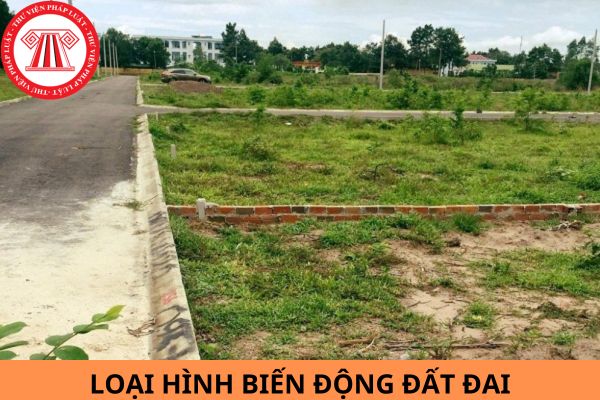 Danh mục mã của loại hình biến động mới nhất năm 2024?